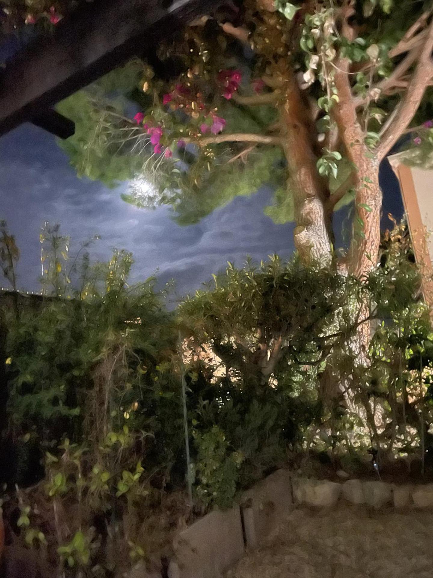 Studio Bandol Avec Jardin Ngoại thất bức ảnh